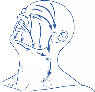 head and neck lymph system pathways