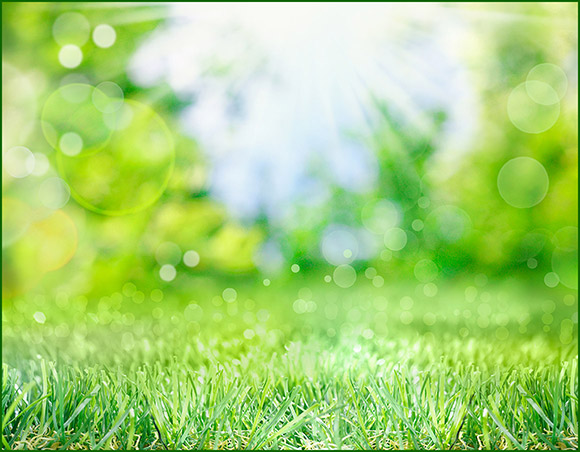 Spring Is Here Promotion